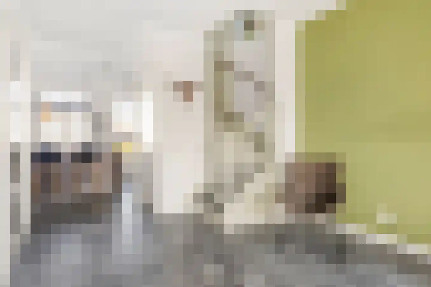 Prunellalaan 1 g Waalre thumbnail 10