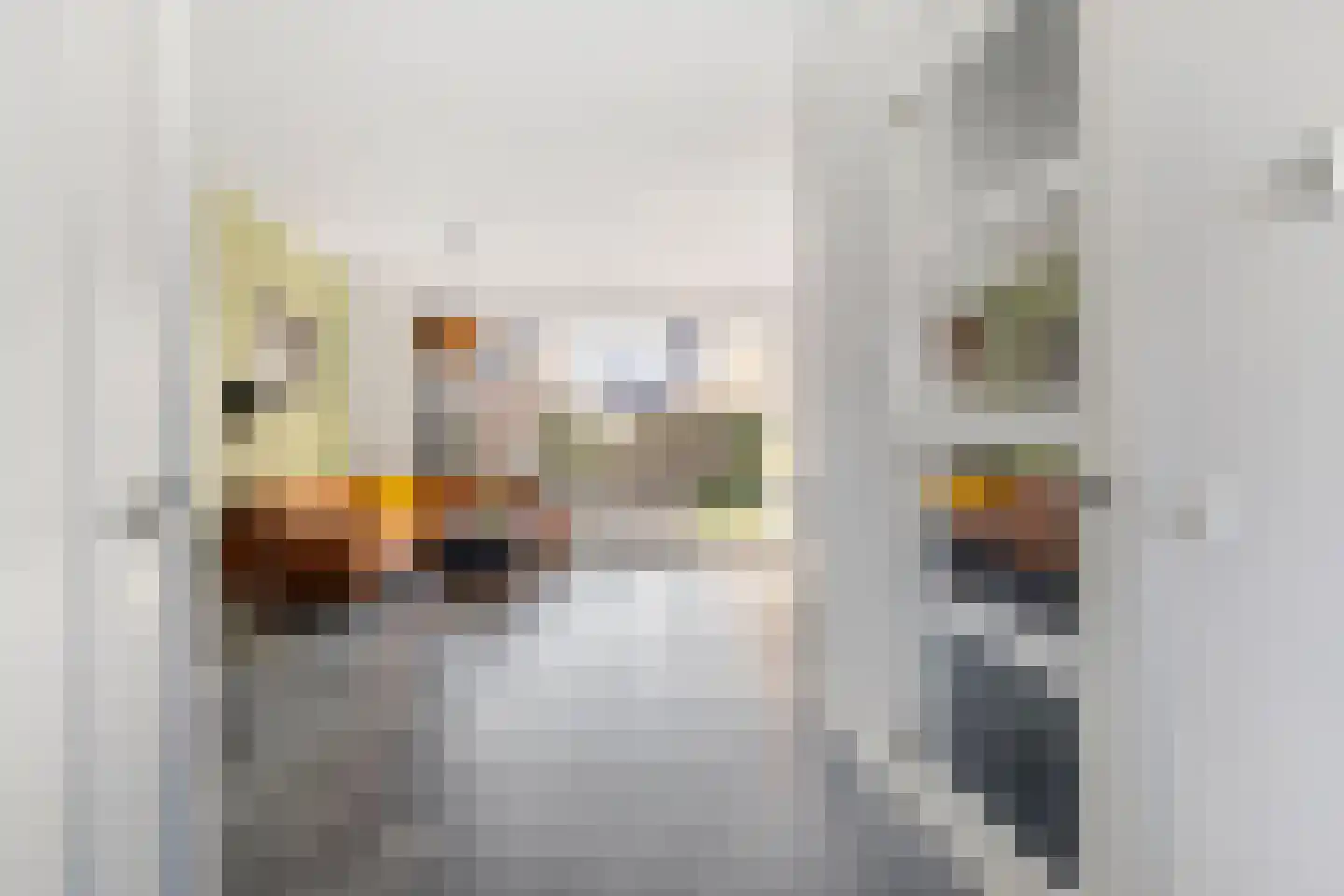 Prunellalaan 1 g Waalre thumbnail 11
