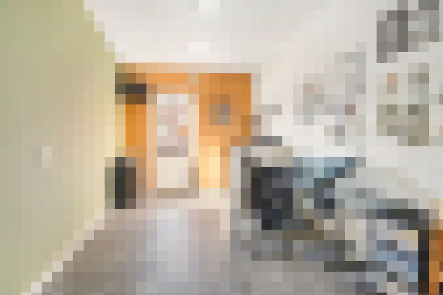 Prunellalaan 1 g Waalre thumbnail 15