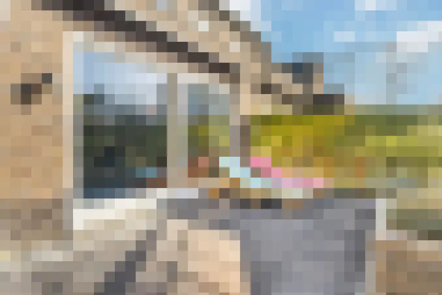 Prunellalaan 1 g Waalre thumbnail 30