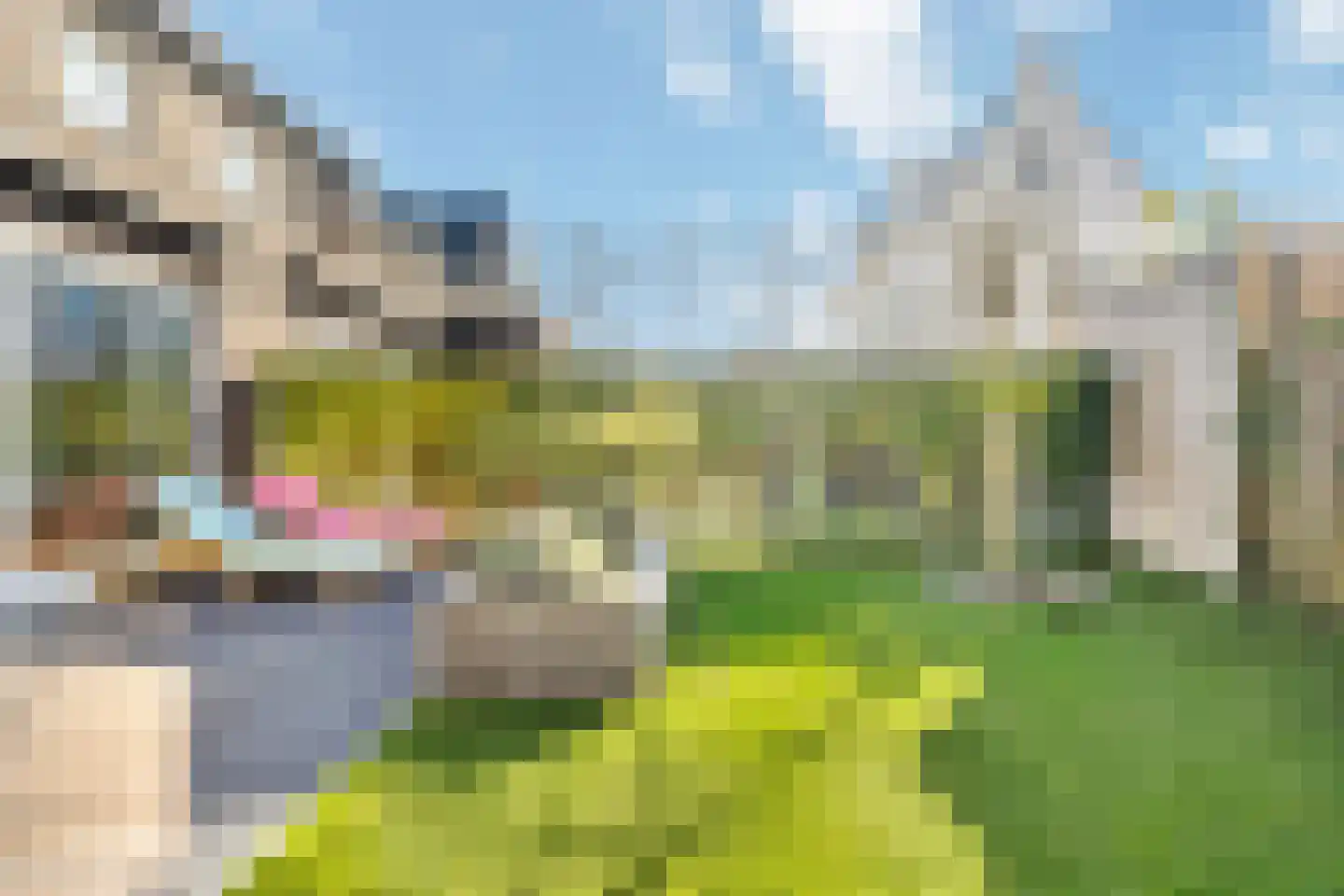 Prunellalaan 1 g Waalre thumbnail 31