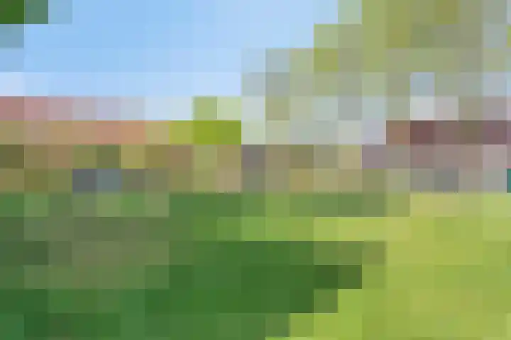 Prunus 11 Veenendaal thumbnail 23