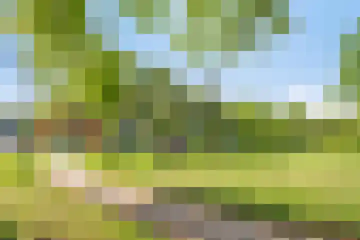 Prunus 11 Veenendaal thumbnail 24