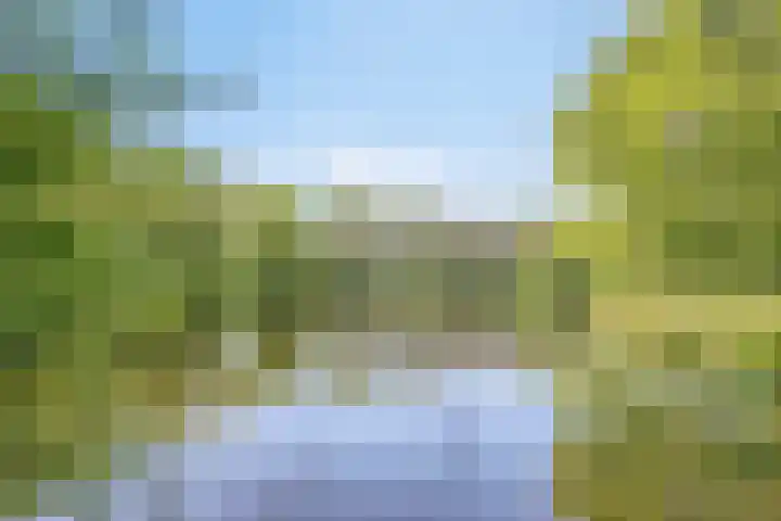 Prunus 11 Veenendaal thumbnail 25