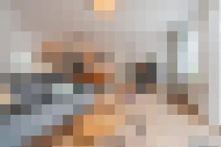 Prunus 20 Best thumbnail 13