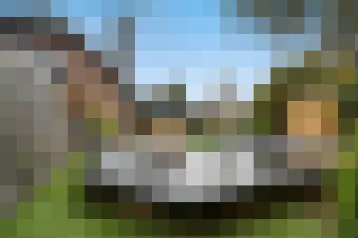 Prunus 20 Best foto 2