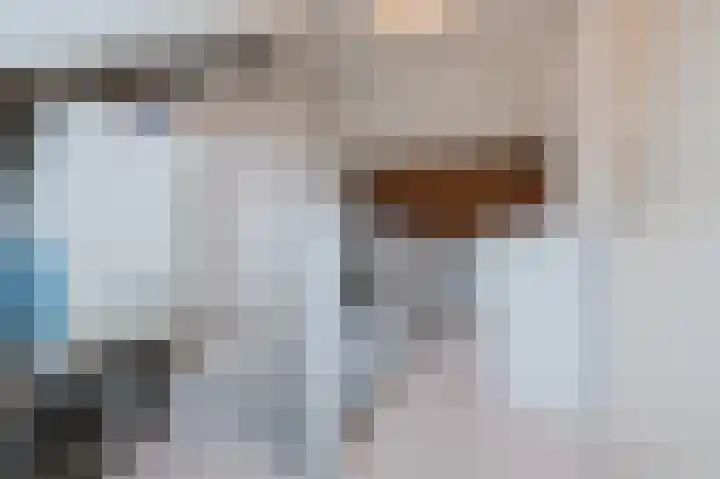 Prunus 20 Best thumbnail 33