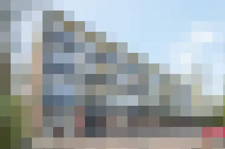 Prunus 20 Best thumbnail 35