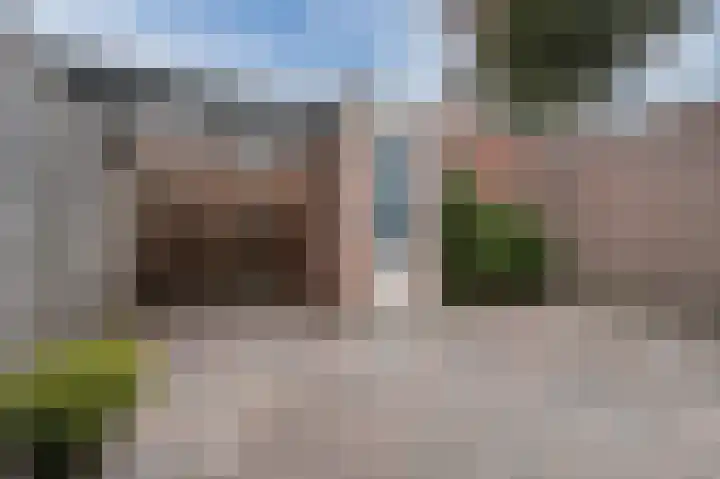 Prunus 20 Best thumbnail 39