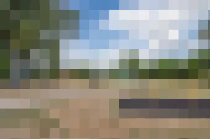 Prunus 20 Best thumbnail 42
