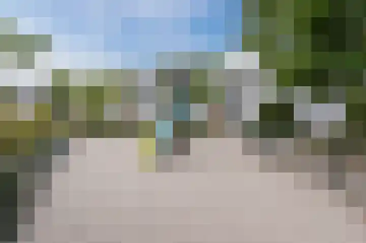 Prunus 20 Best thumbnail 45