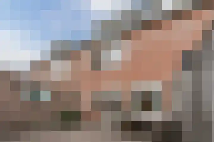 Prunus 20 Best thumbnail 6