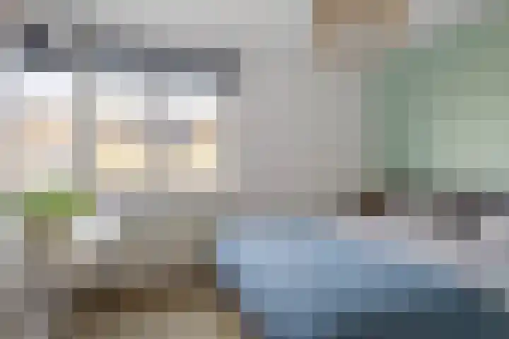 Prunus 38 Best thumbnail 20