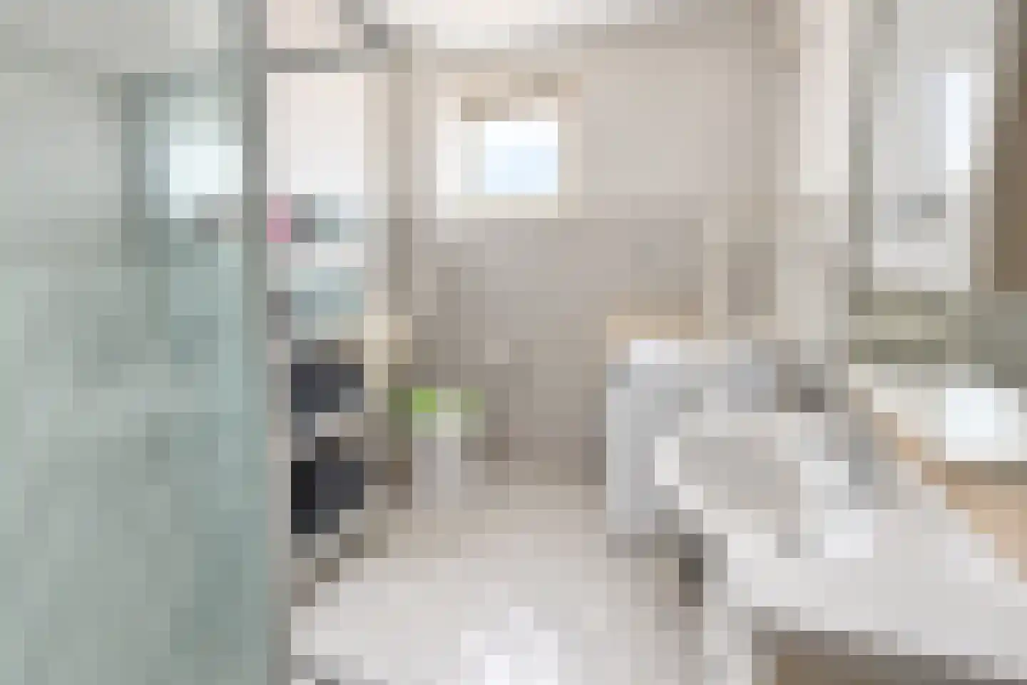 Prunus 4 Best thumbnail 13