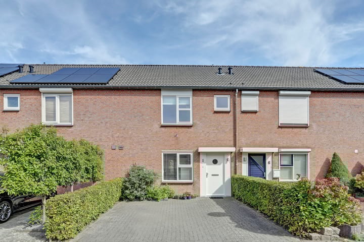 Prunus 8 in Best photo