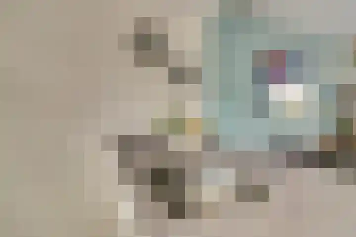 Prunus 8 Best thumbnail 13