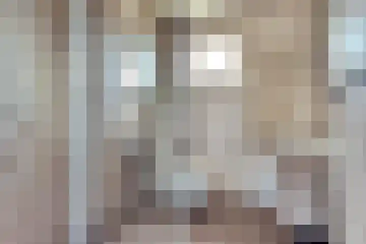 Prunus 8 Best thumbnail 22