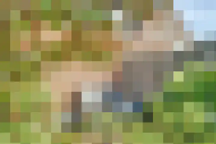 Prunus 8 Best thumbnail 31