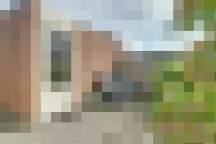 Prunus 8 Best thumbnail 33