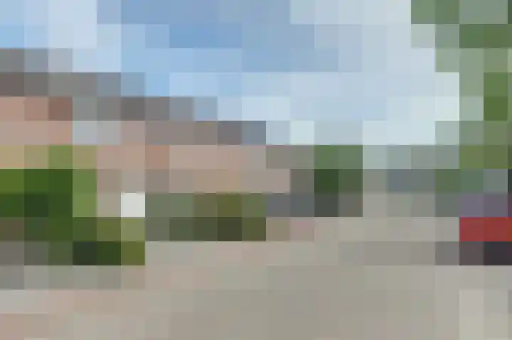 Prunus 8 Best thumbnail 36