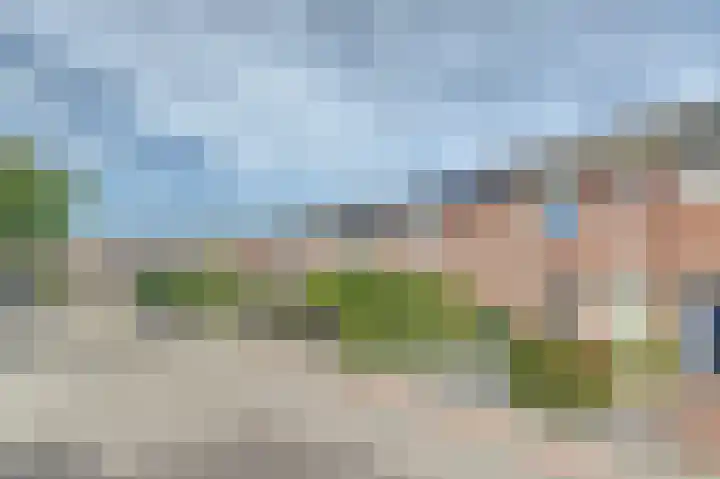 Prunus 8 Best thumbnail 37