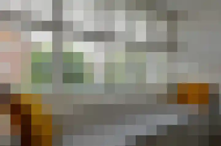 Prunushage 27 Assen thumbnail 10