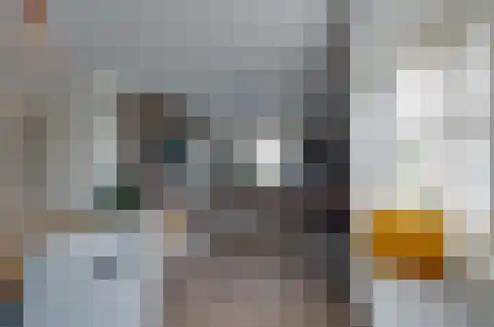 Prunushage 27 Assen thumbnail 11