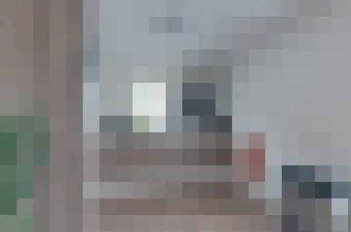 Prunushage 27 Assen thumbnail 12