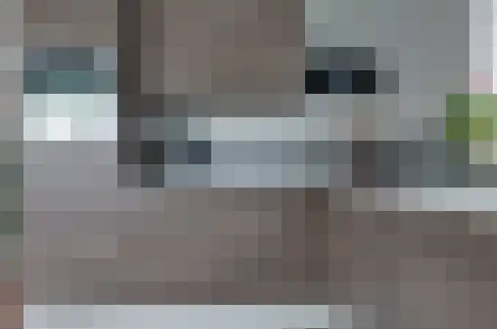 Prunushage 27 Assen thumbnail 13
