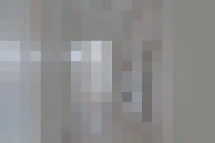 Prunushage 27 Assen thumbnail 17