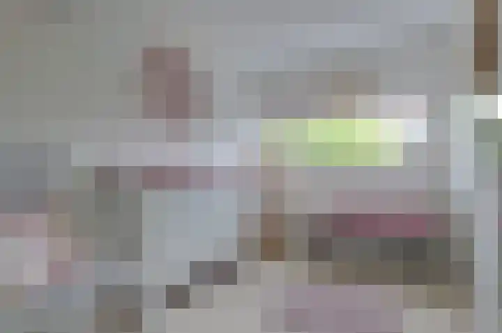Prunushage 27 Assen thumbnail 18