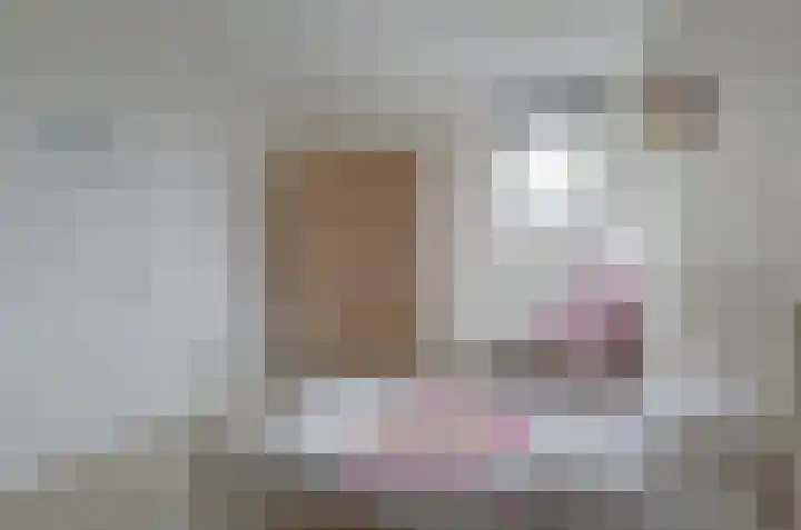 Prunushage 27 Assen thumbnail 20