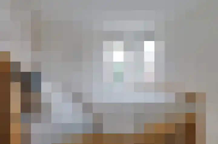Prunushage 27 Assen thumbnail 21