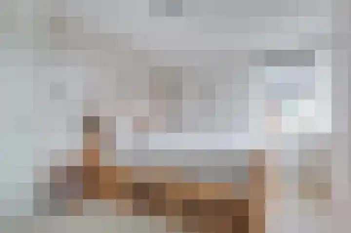 Prunushage 27 Assen thumbnail 22