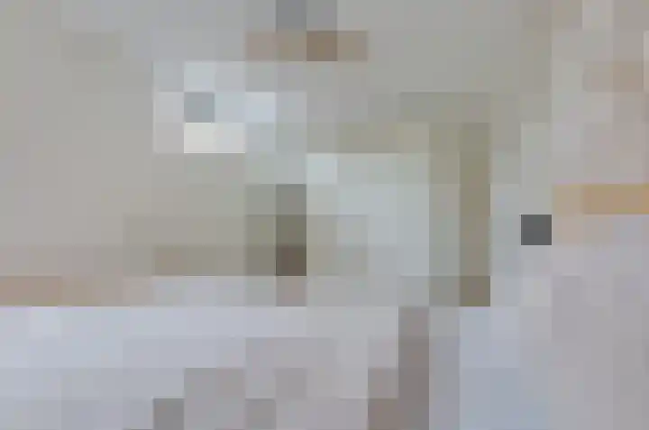 Prunushage 27 Assen thumbnail 23