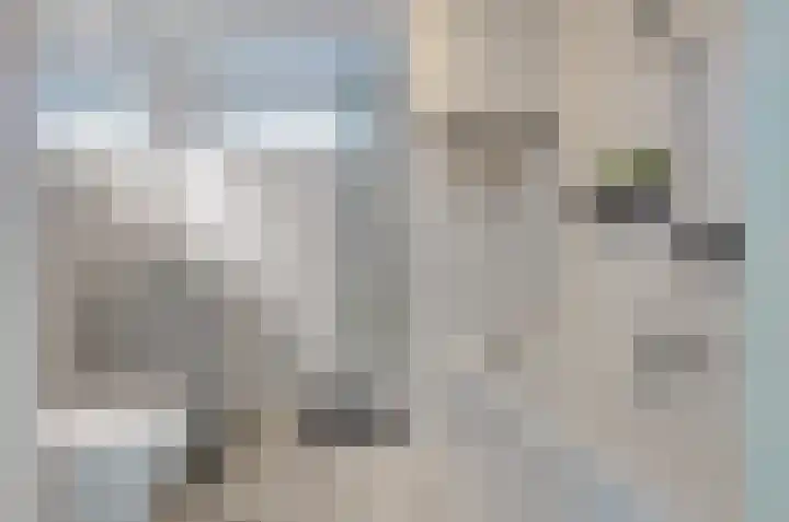 Prunushage 27 Assen thumbnail 24