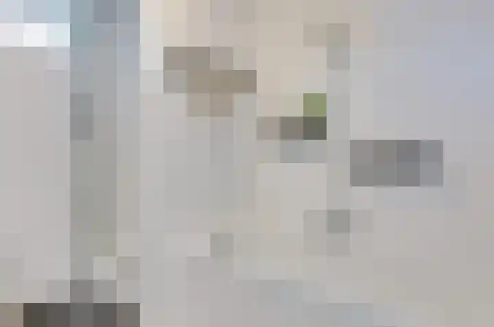 Prunushage 27 Assen thumbnail 25