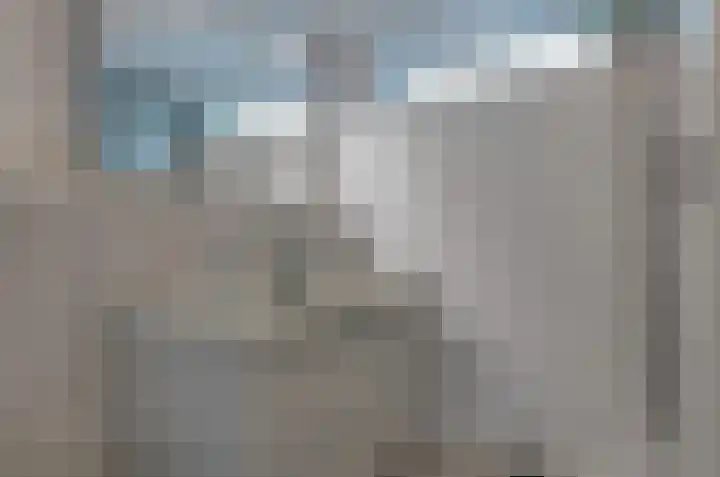 Prunushage 27 Assen thumbnail 26
