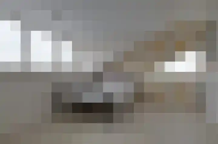 Prunushage 27 Assen thumbnail 28