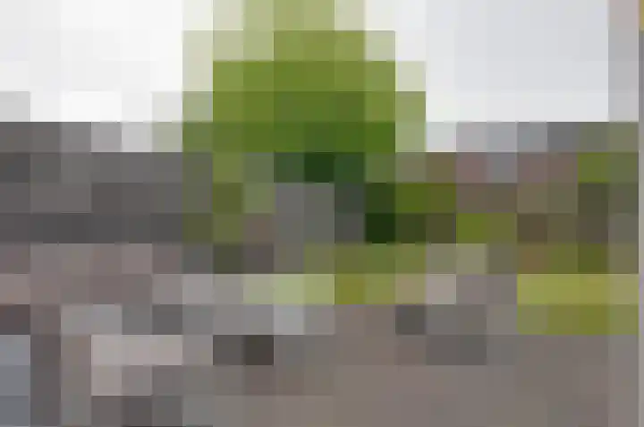 Prunushage 27 Assen thumbnail 32