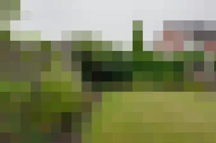 Prunushage 27 Assen thumbnail 35