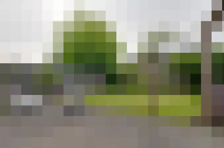 Prunushage 27 Assen thumbnail 37