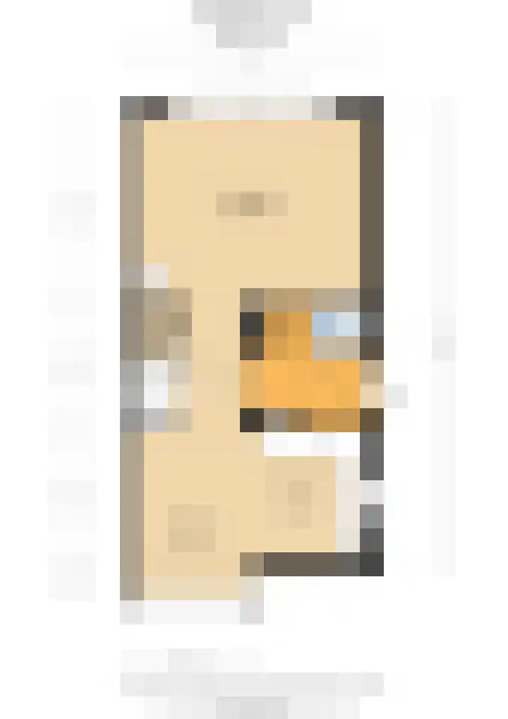 Prunushage 27 Assen thumbnail 38