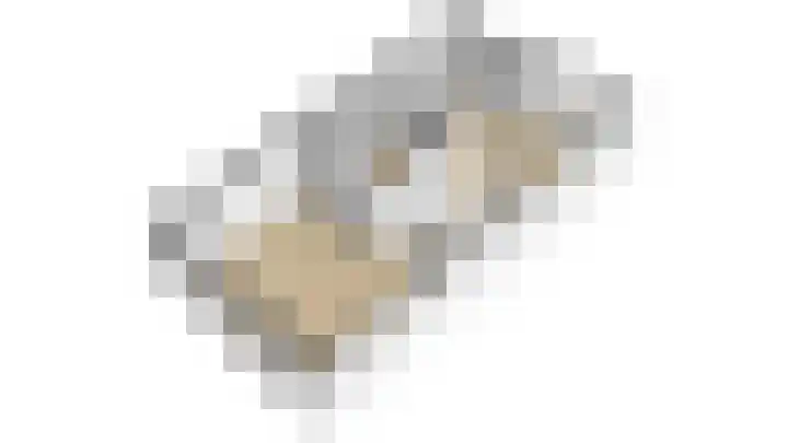 Prunushage 27 Assen thumbnail 39