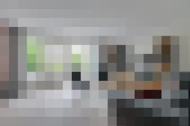 Prunushage 27 Assen thumbnail 4