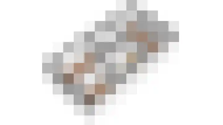 Prunushage 27 Assen thumbnail 42