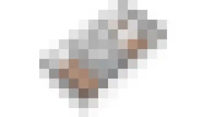 Prunushage 27 Assen thumbnail 43
