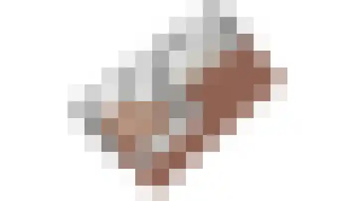 Prunushage 27 Assen thumbnail 46