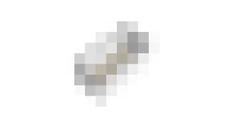 Prunushage 27 Assen thumbnail 48
