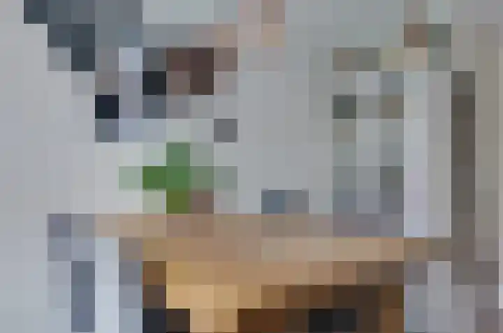 Prunushage 27 Assen thumbnail 8